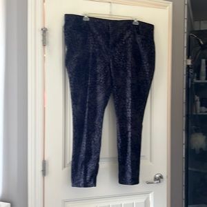 Bandolino black suede jeans. Used but like new.